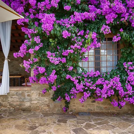 Masia Pou Casa rural *
