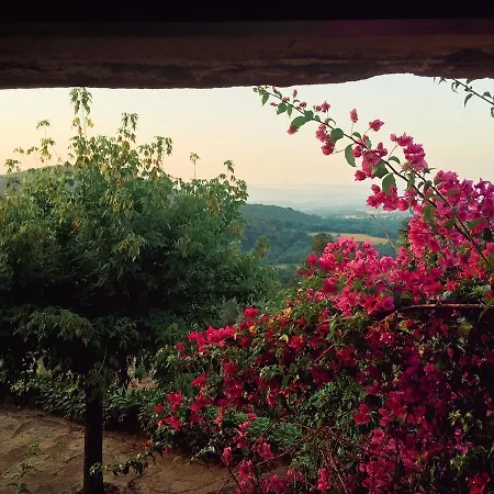 Masia Pou Casa rural *